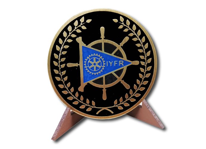 Moneda IYFR 7 cm
