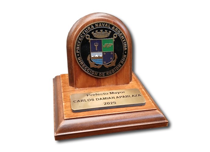 Moneda Prefectura Región Sur 7 cm base 13x13 cm